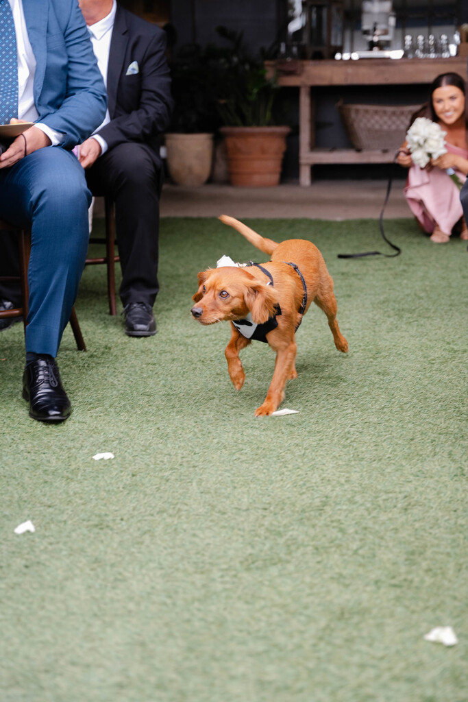 Harvey walking down the Aisle